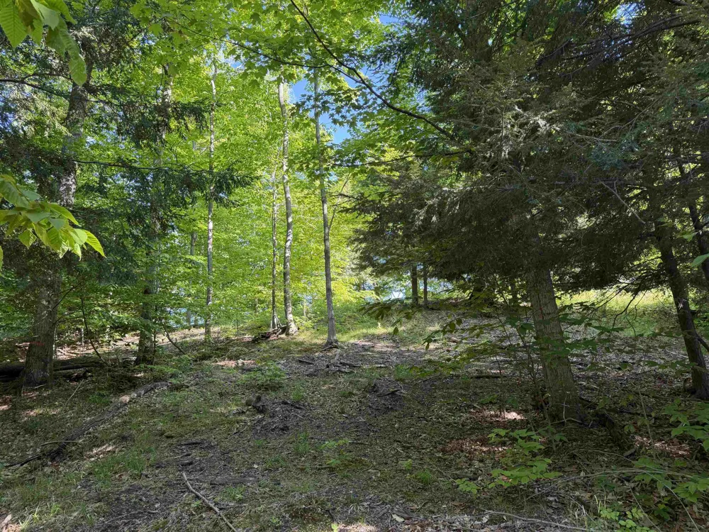 Old Trail Lake Township, MI 49635