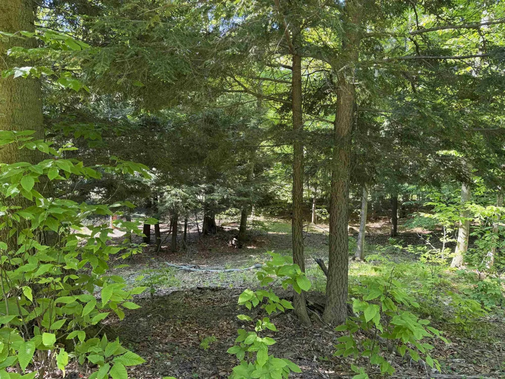 Old Trail Lake Township, MI 49635