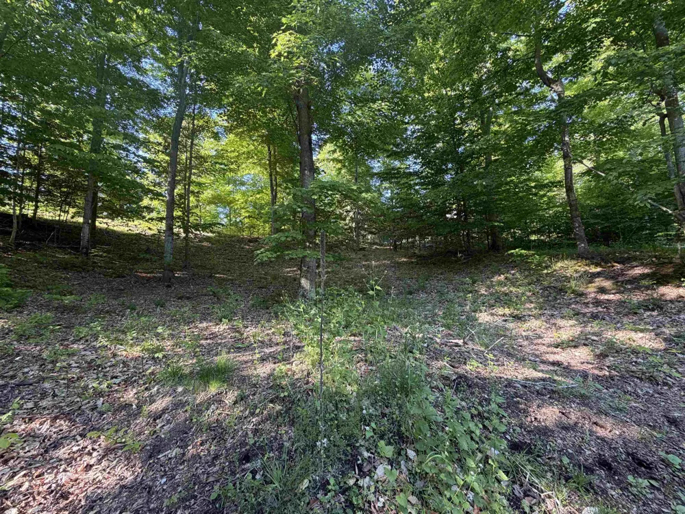 Old Trail Lake Township, MI 49635