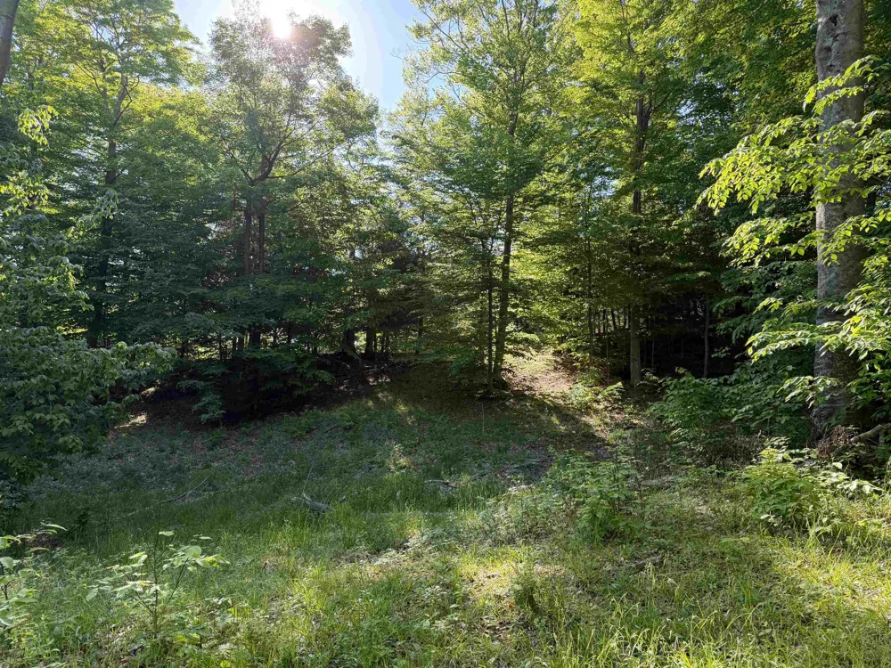Old Trail Lake Township, MI 49635