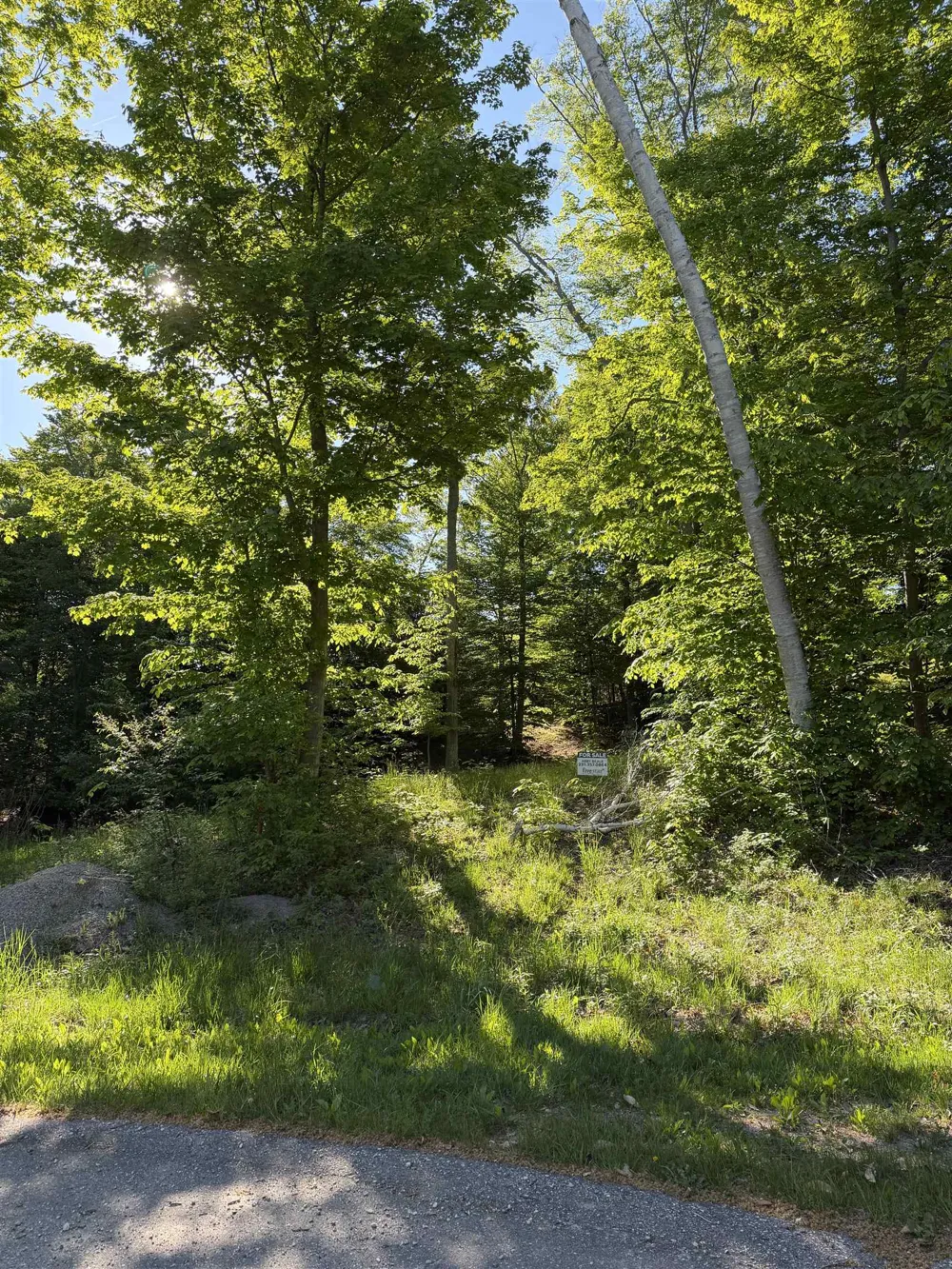 Old Trail Lake Township, MI 49635