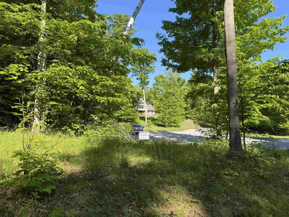 Old Trail Lake Township, MI 49635