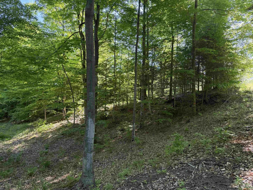 Old Trail Lake Township, MI 49635