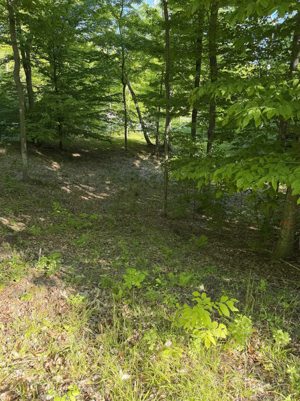 Old Trail Lake Township, MI 49635