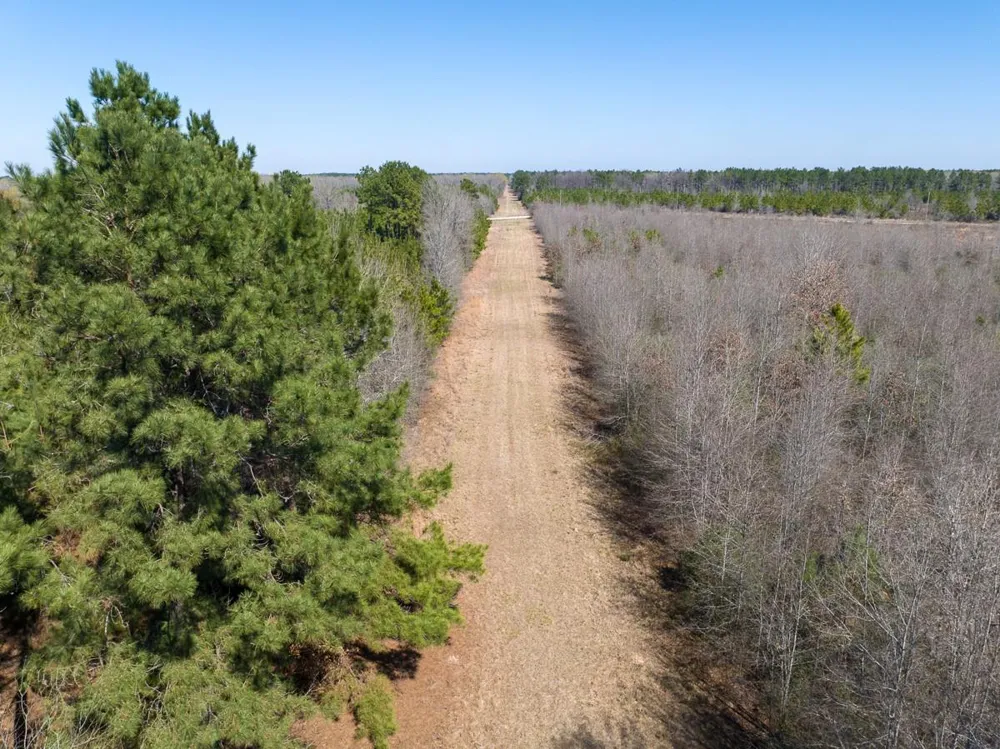 1 Bo Brown Road Trinity, TX 75862