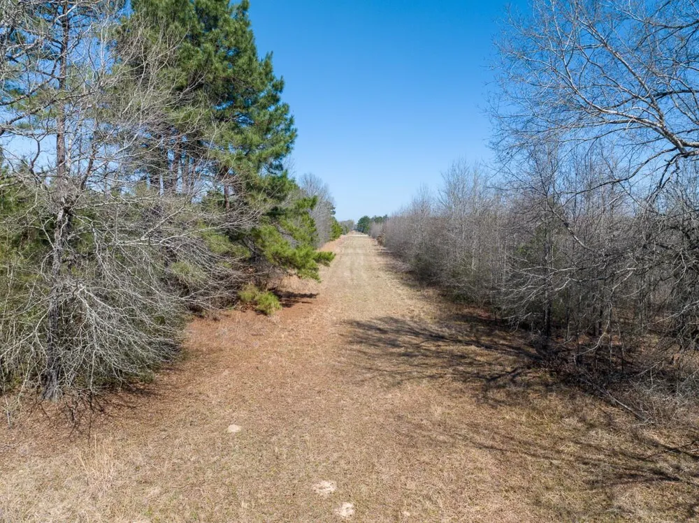 1 Bo Brown Road Trinity, TX 75862