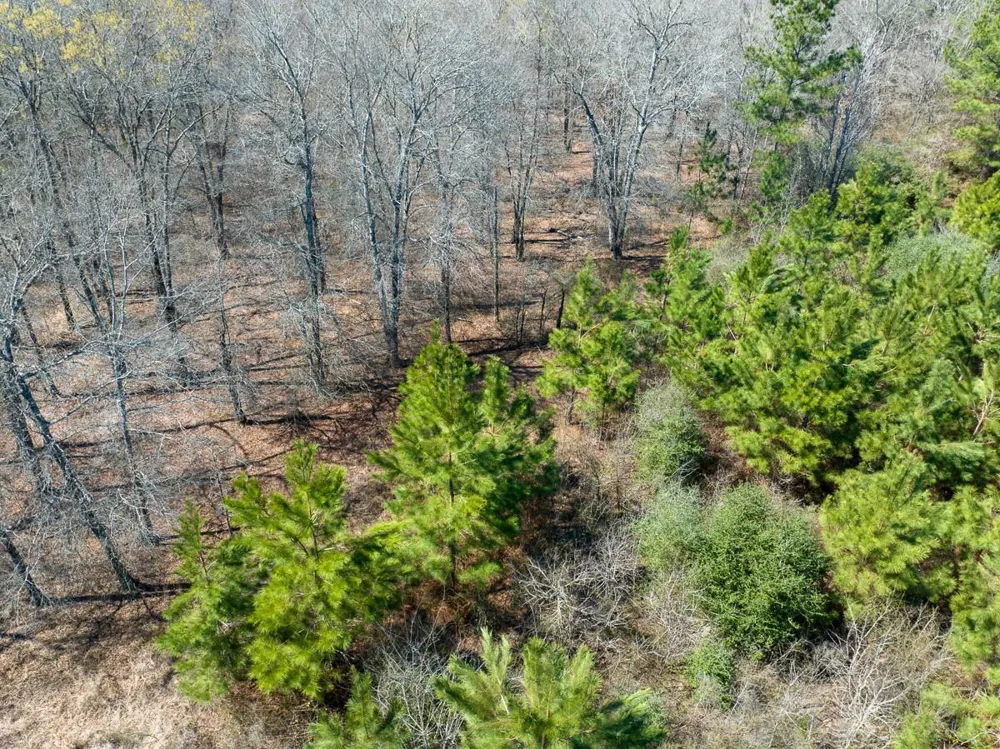 1 Bo Brown Road Trinity, TX 75862