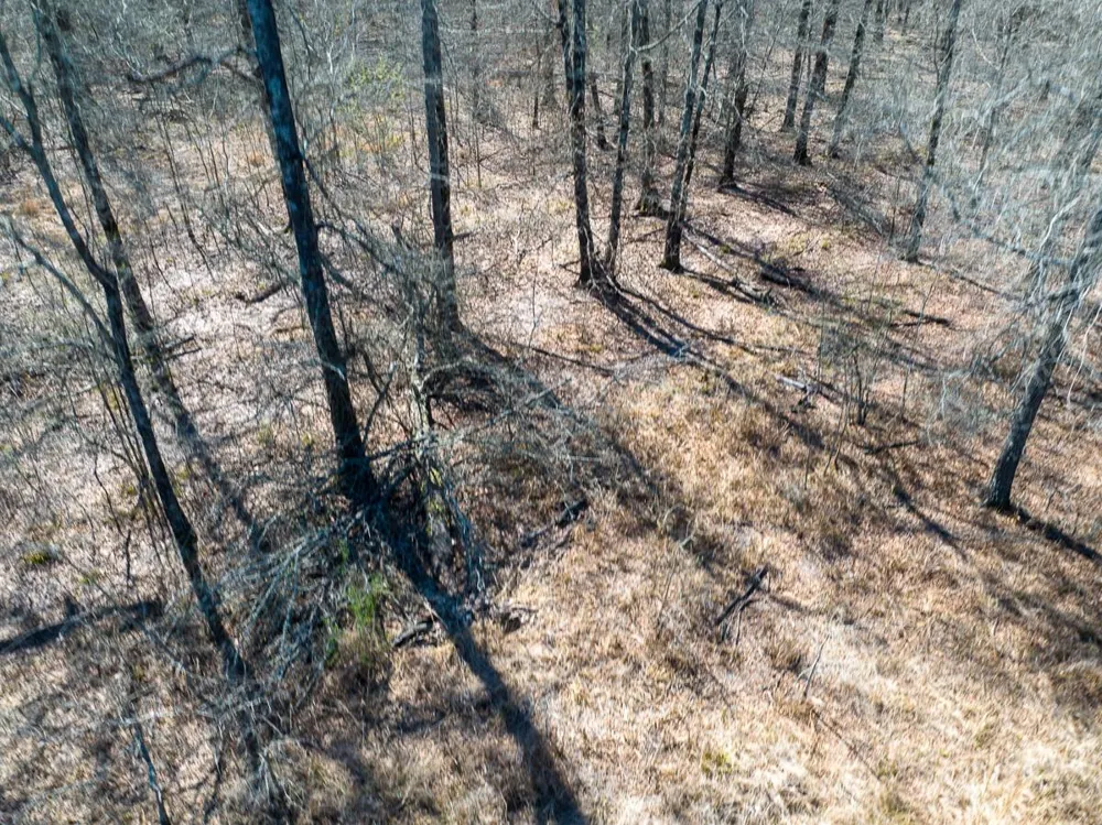 1 Bo Brown Road Trinity, TX 75862