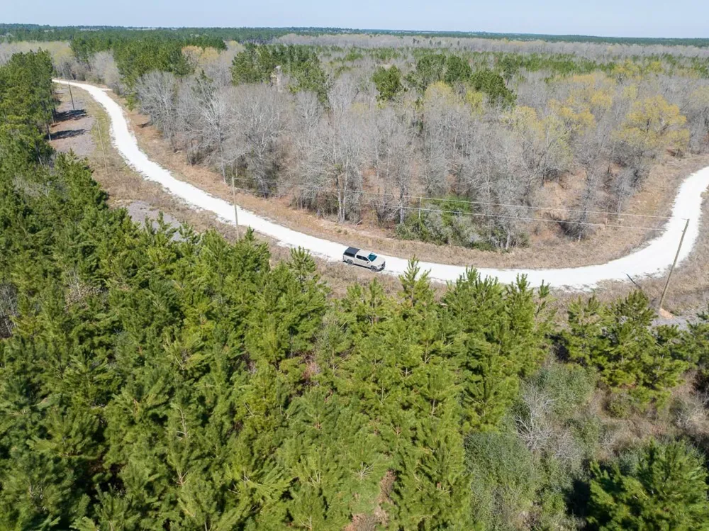 1 Bo Brown Road Trinity, TX 75862