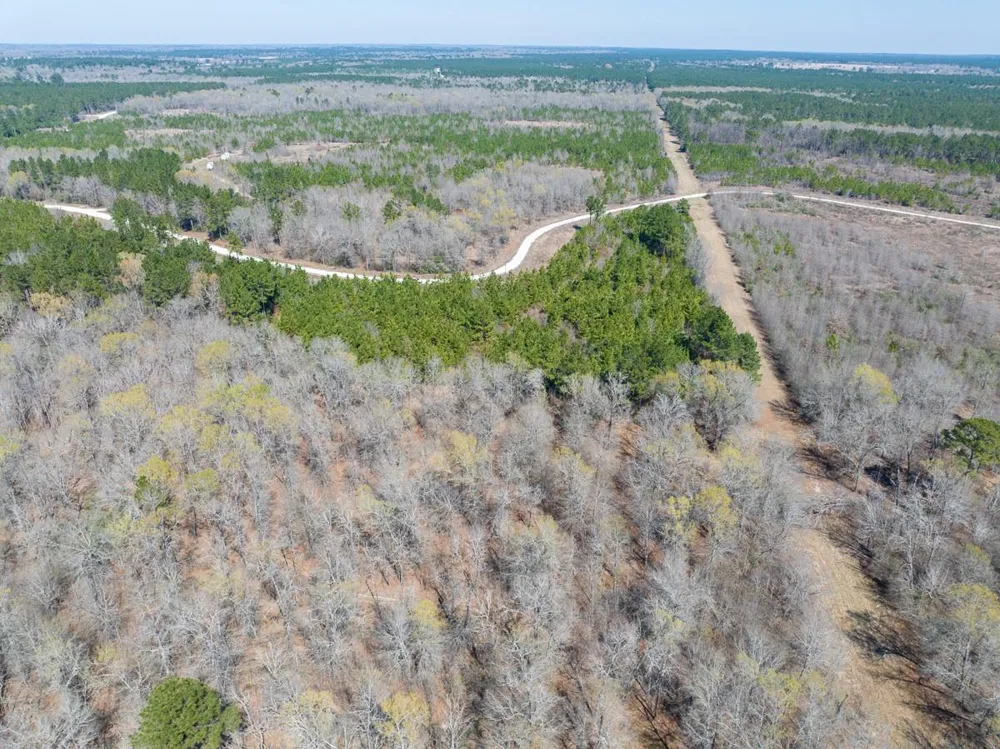 1 Bo Brown Road Trinity, TX 75862