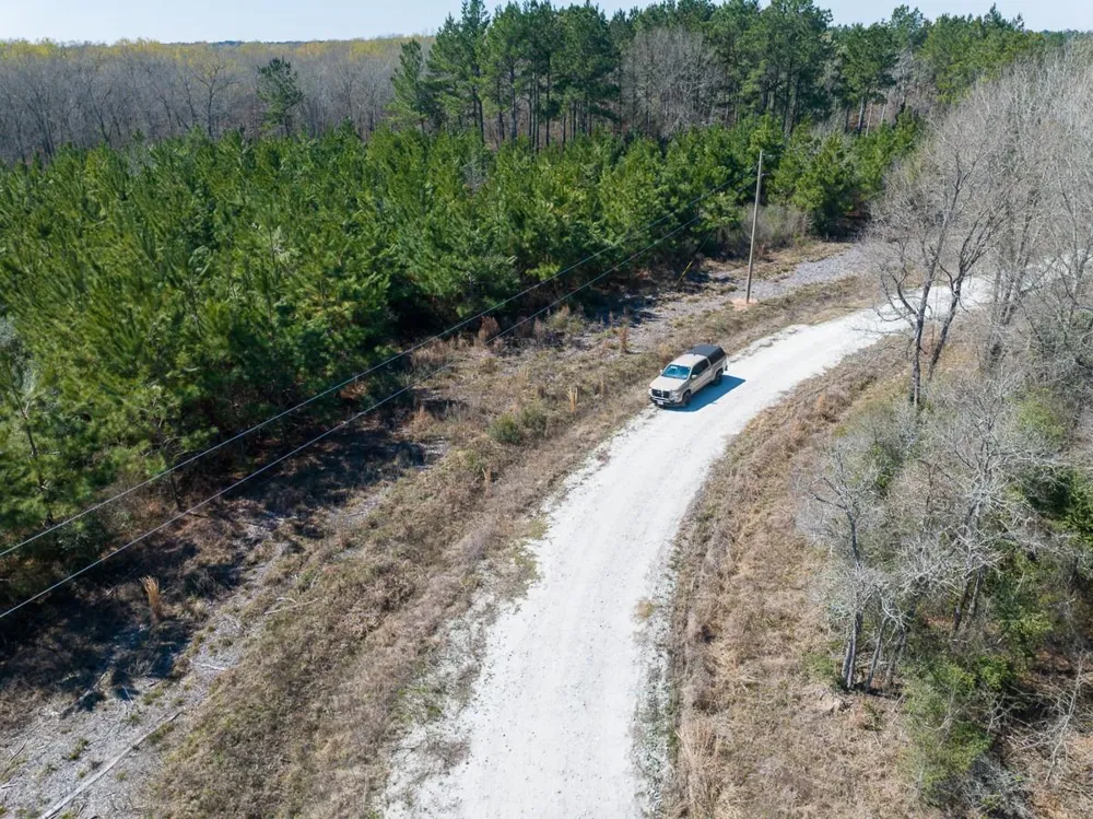 1 Bo Brown Road Trinity, TX 75862