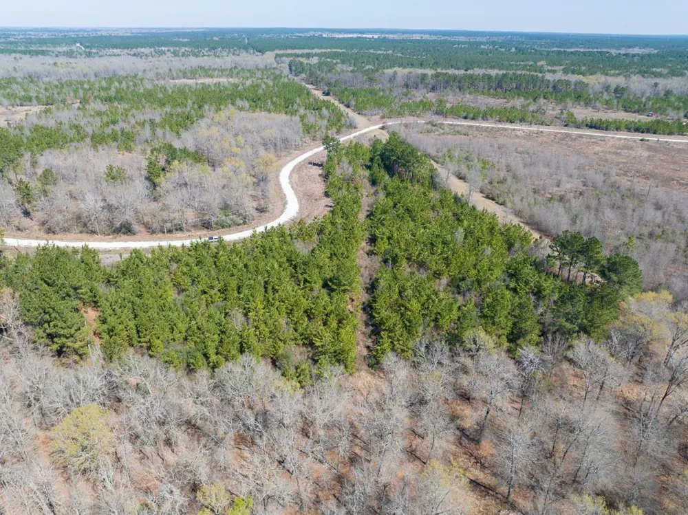 1 Bo Brown Road Trinity, TX 75862