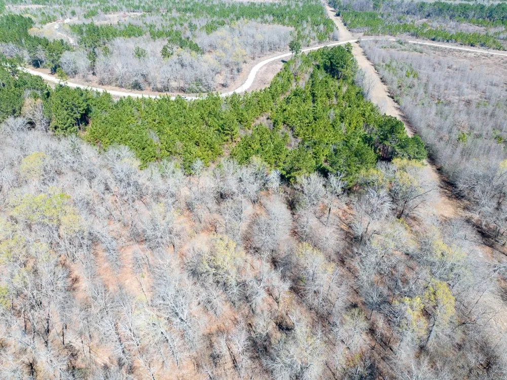 1 Bo Brown Road Trinity, TX 75862