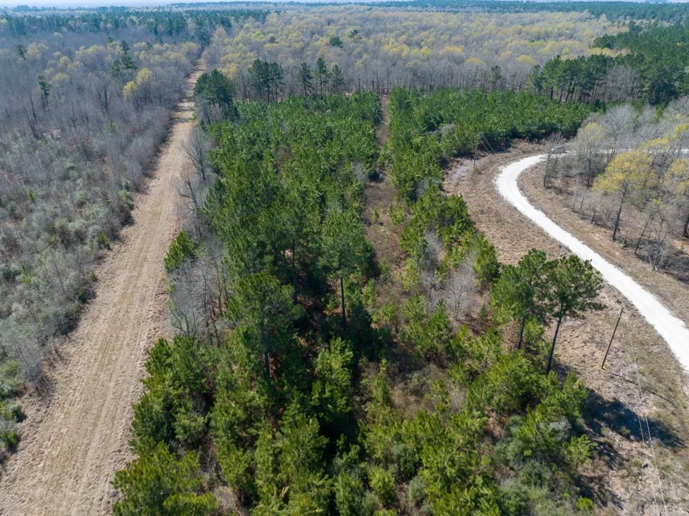 1 Bo Brown Road Trinity, TX 75862