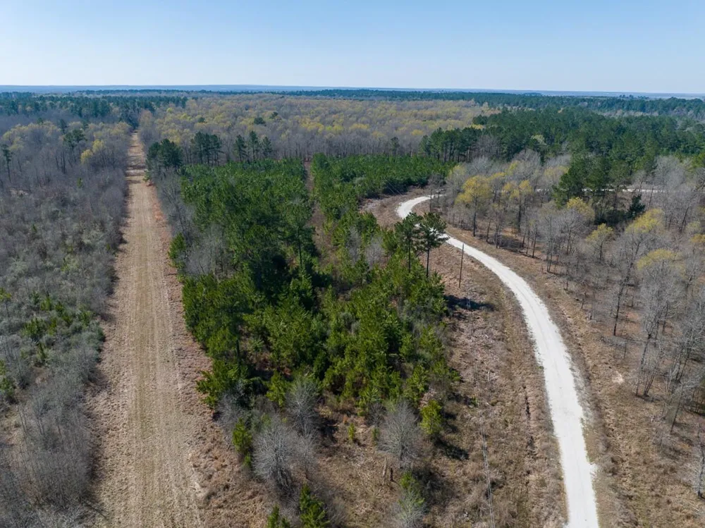 1 Bo Brown Road Trinity, TX 75862