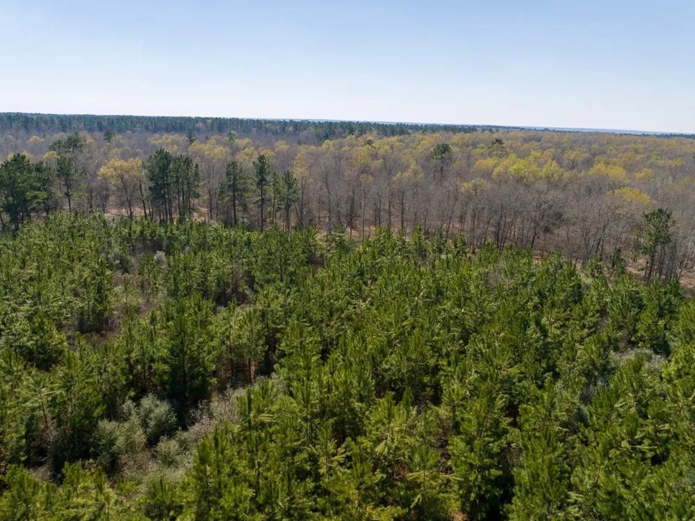 1 Bo Brown Road Trinity, TX 75862