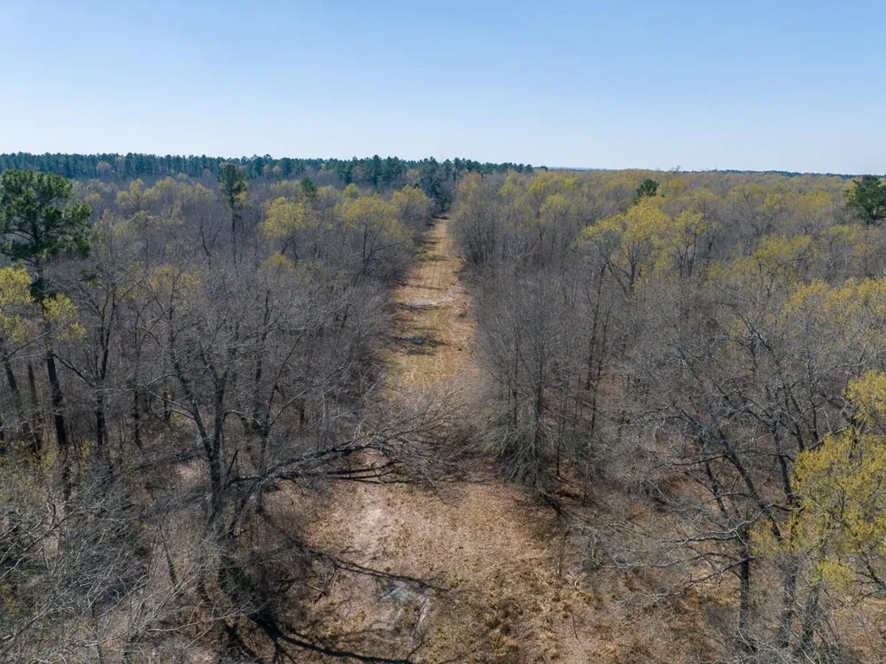 1 Bo Brown Road Trinity, TX 75862