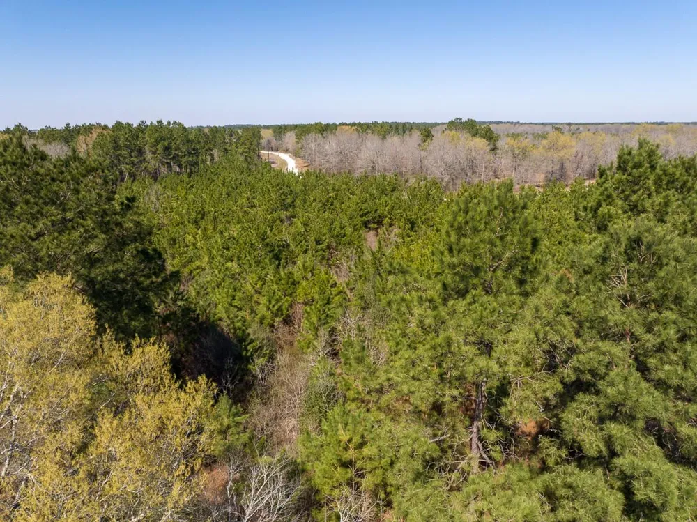1 Bo Brown Road Trinity, TX 75862