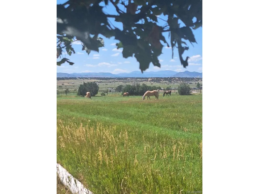 895 B STREET Penrose, CO 81240
