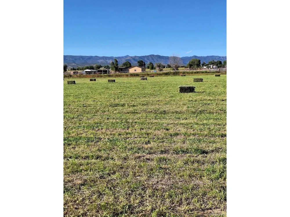895 B STREET Penrose, CO 81240