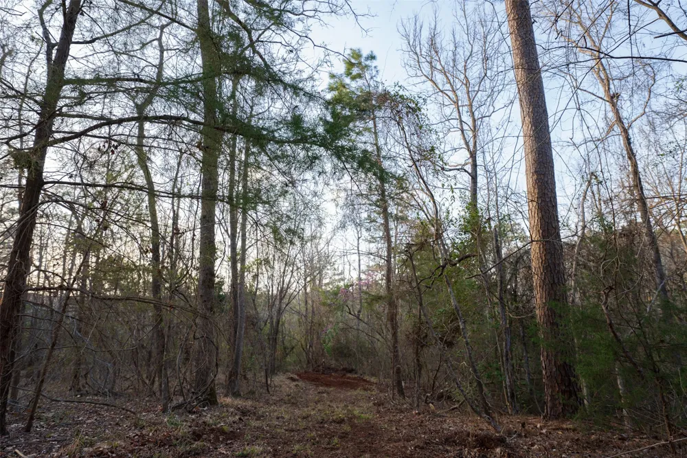2265 County Road 1613 Jacksonville, TX 75766