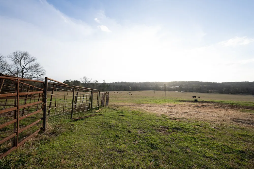 2265 County Road 1613 Jacksonville, TX 75766
