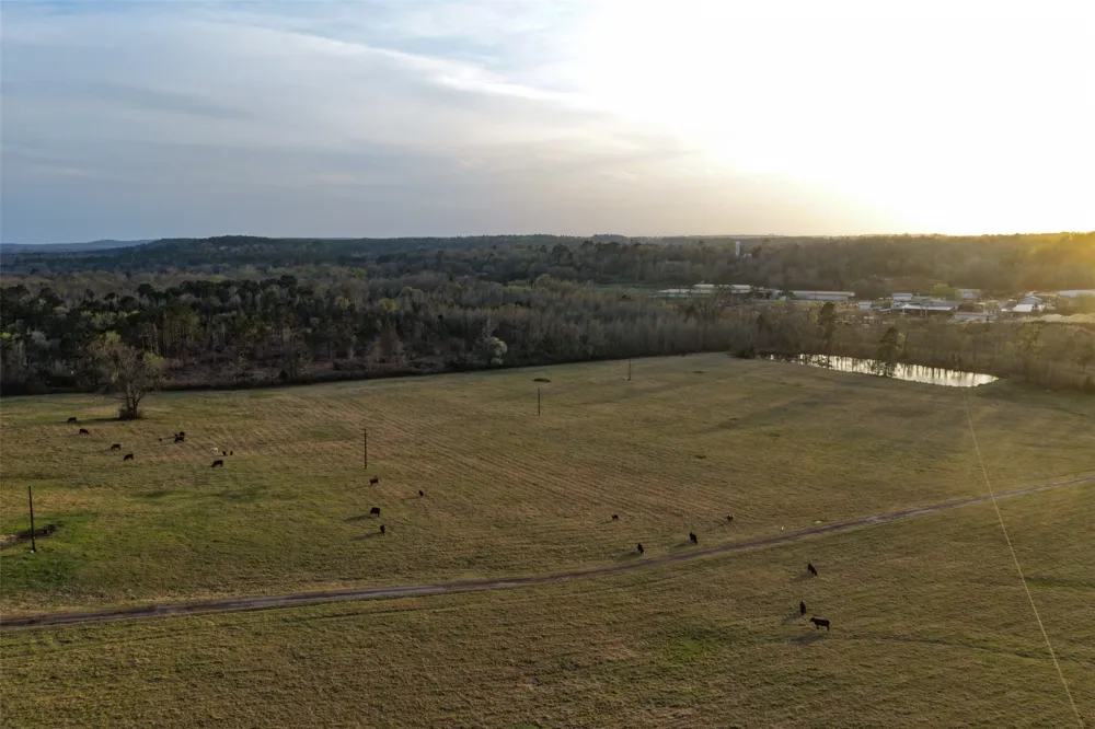 2265 County Road 1613 Jacksonville, TX 75766