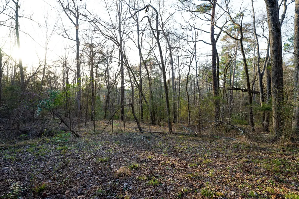 2265 County Road 1613 Jacksonville, TX 75766