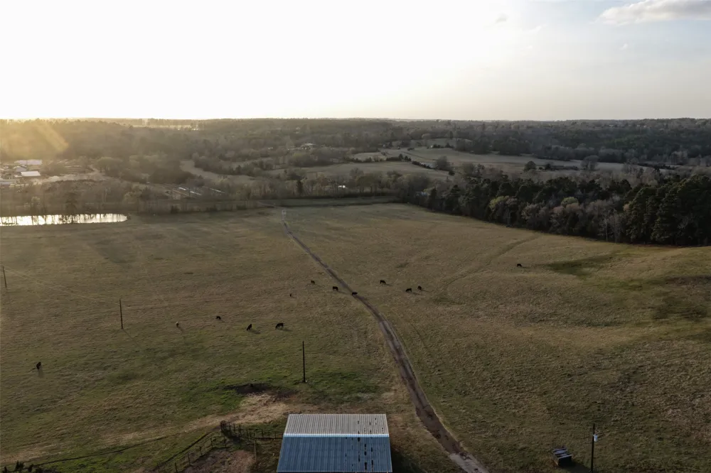 2265 County Road 1613 Jacksonville, TX 75766