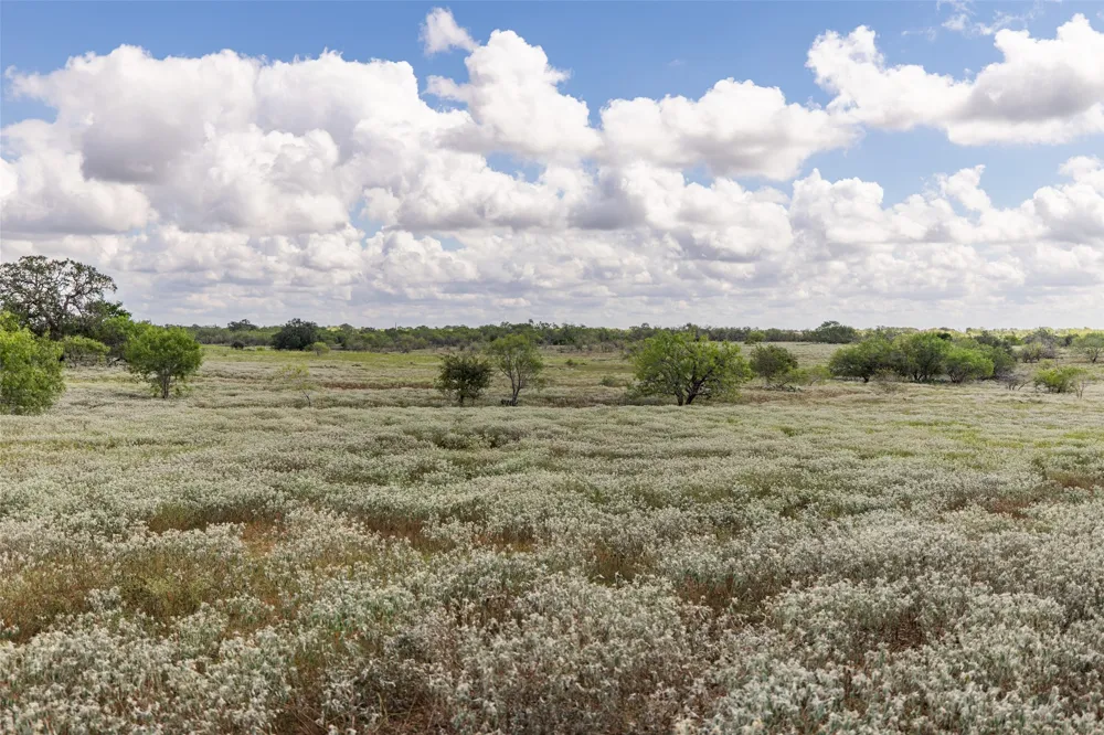 County Road 155 Nixon, TX 78125
