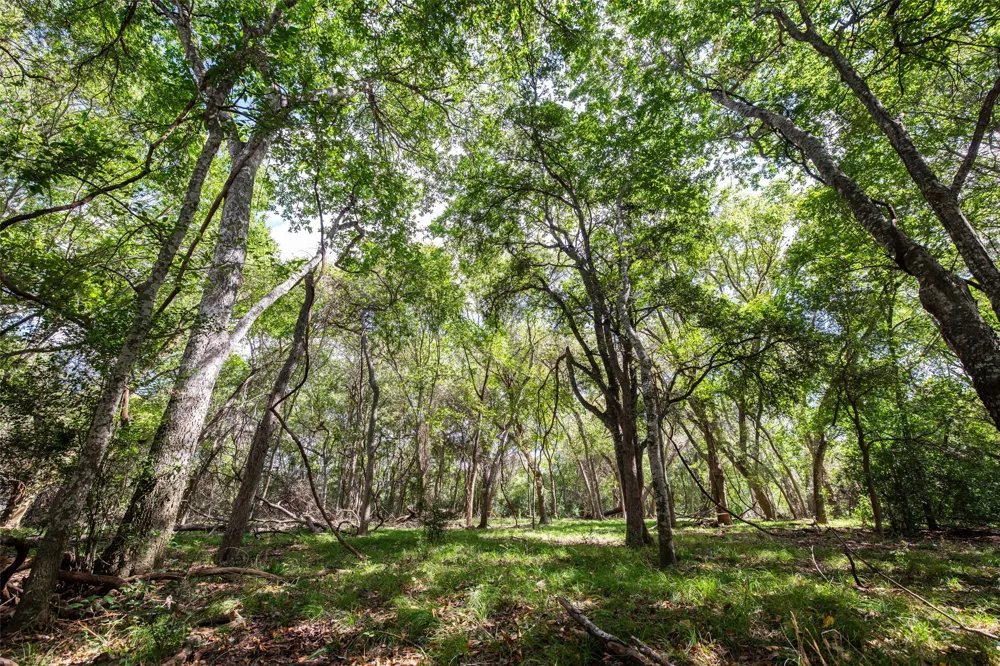 County Road 155 Nixon, TX 78125