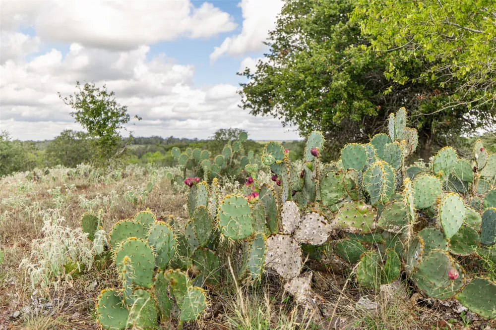 County Road 155 Nixon, TX 78125