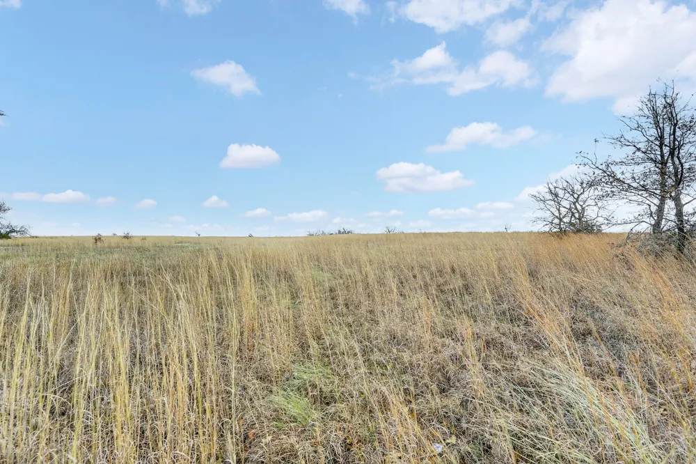 2040 Mustang Ridge Perrin, TX 76486
