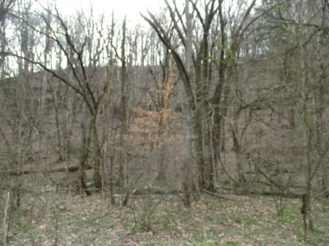 0 Rogues Fork Creek Road