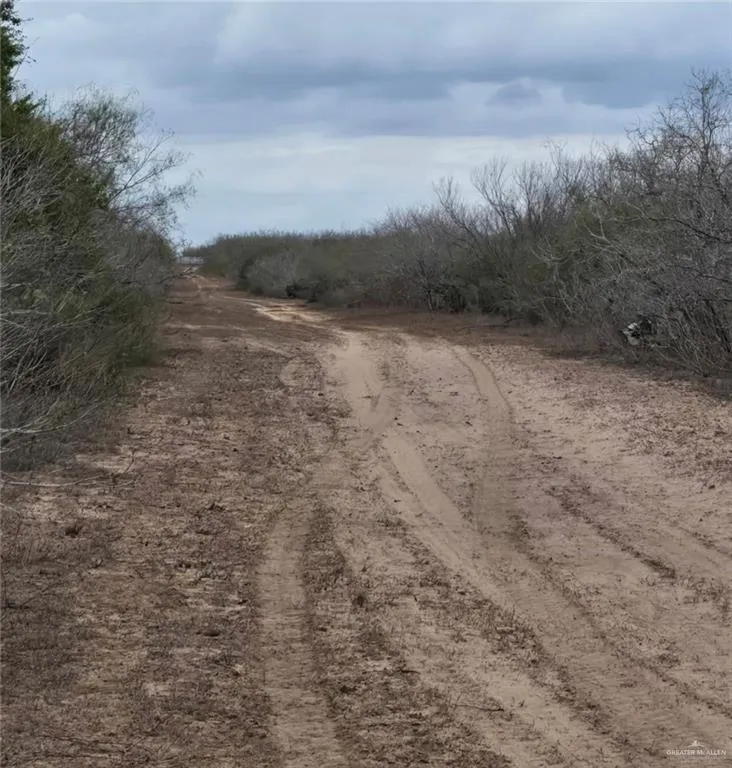 218 CR 218 ROAD Encino, TX 78353