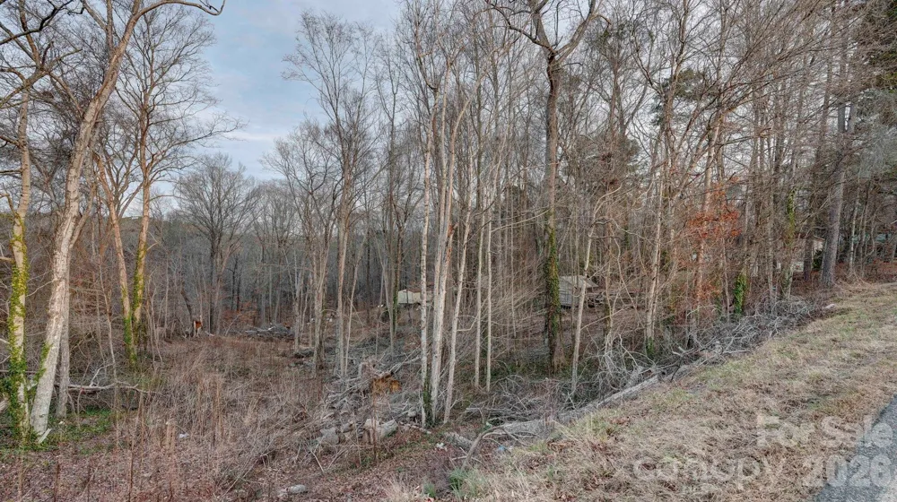 1197 Briggstown Road Lexington, NC 27292