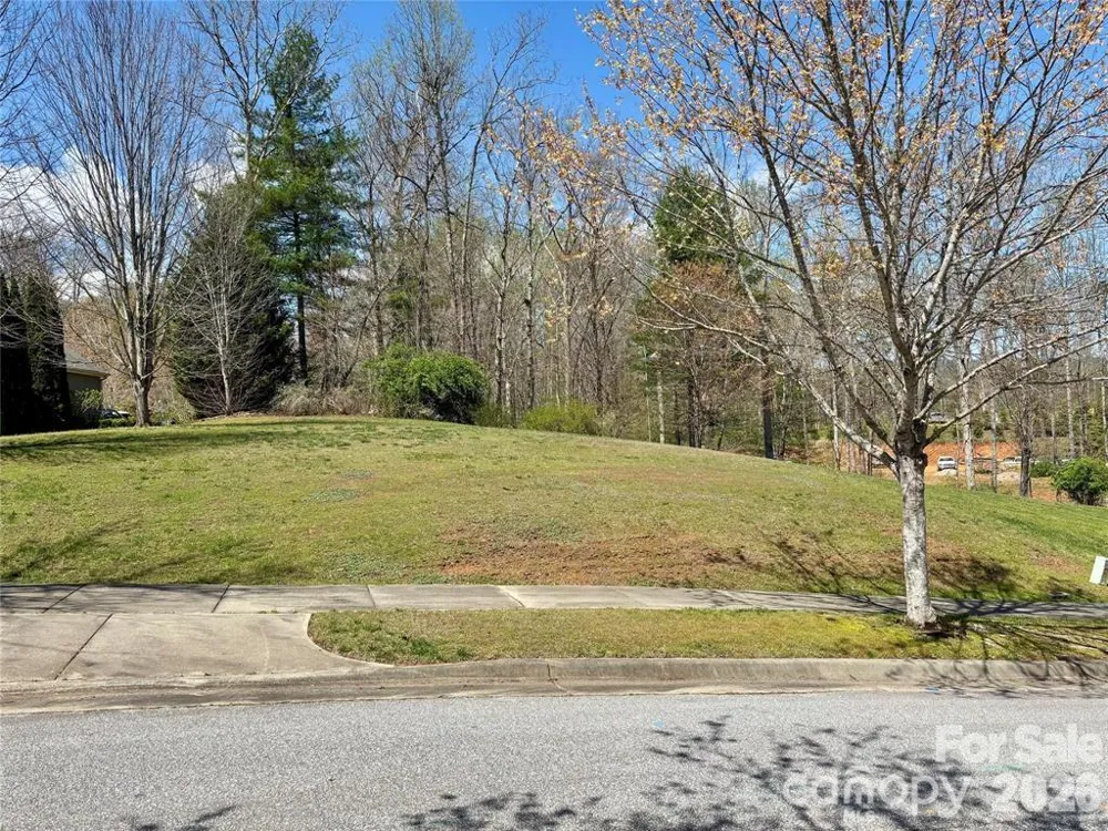 L 19 Cadence Circle #19 Brevard, NC 28712