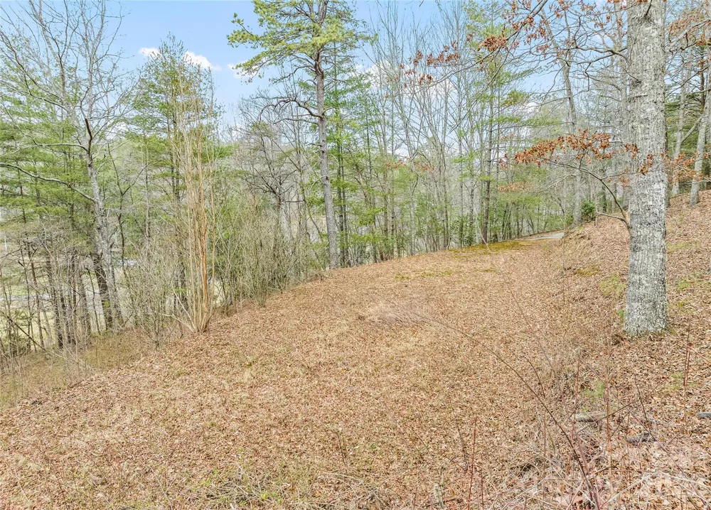 171 Fortner Road Bryson City, NC 28713