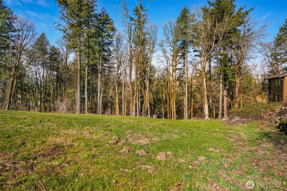 3011 NW 13th Cir Camas, WA 98607