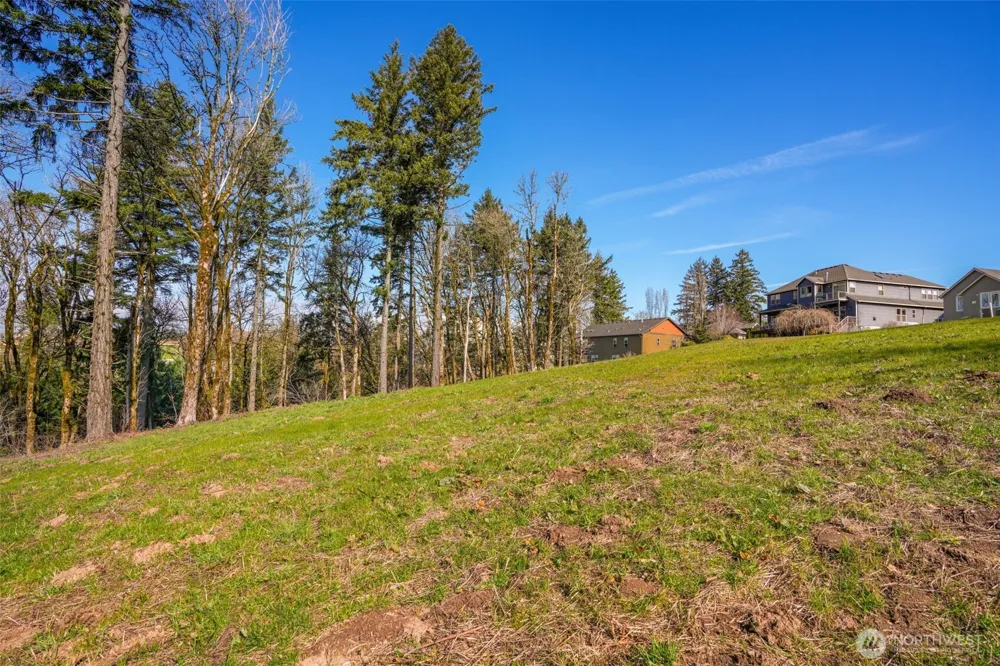 3011 NW 13th Cir Camas, WA 98607