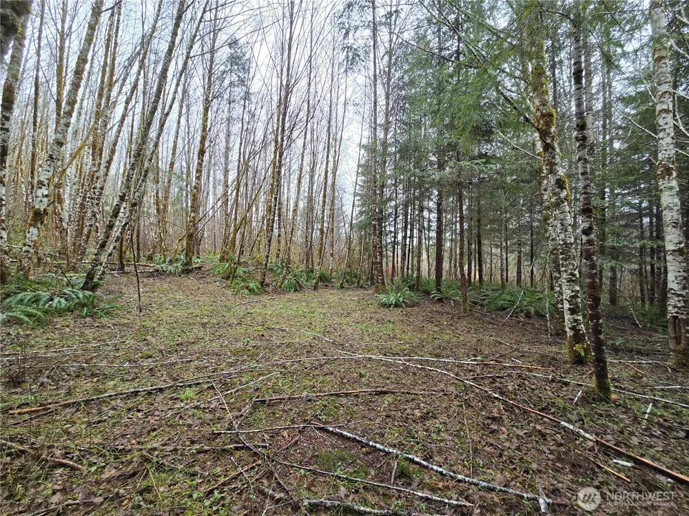 0 Lot 4 W Elk Hill Road Elma, WA 98541