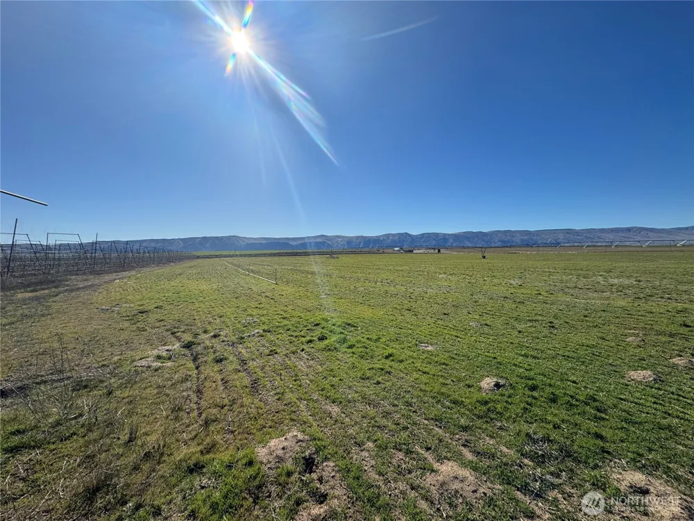 16002 Road 28 SW Mattawa, WA 99349