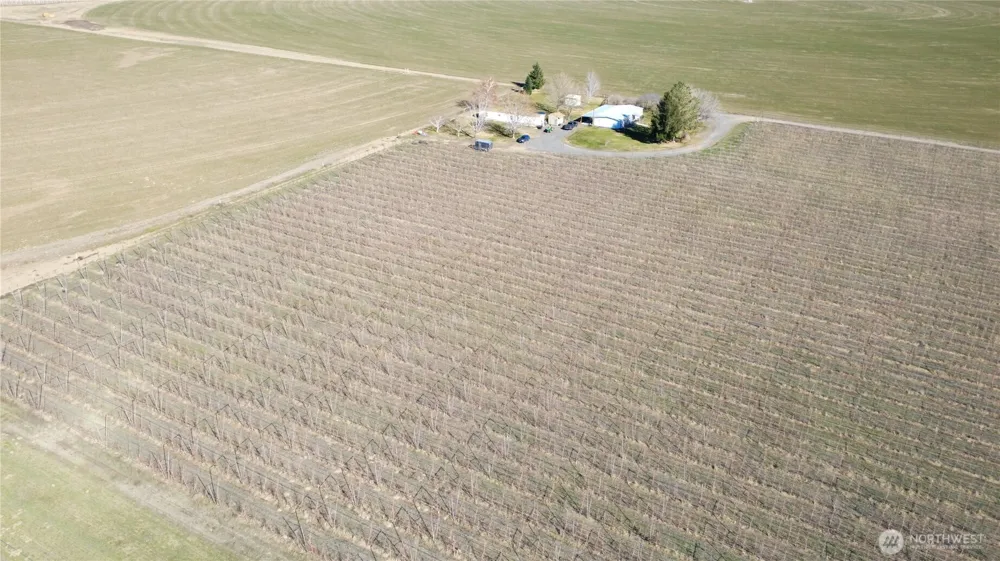 16002 Road 28 SW Mattawa, WA 99349