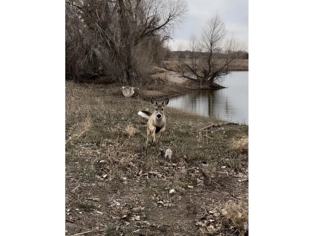 16486 Burghley Court Platteville, CO 80651