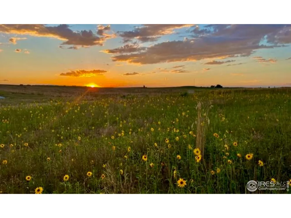 16486 Burghley Court Platteville, CO 80651
