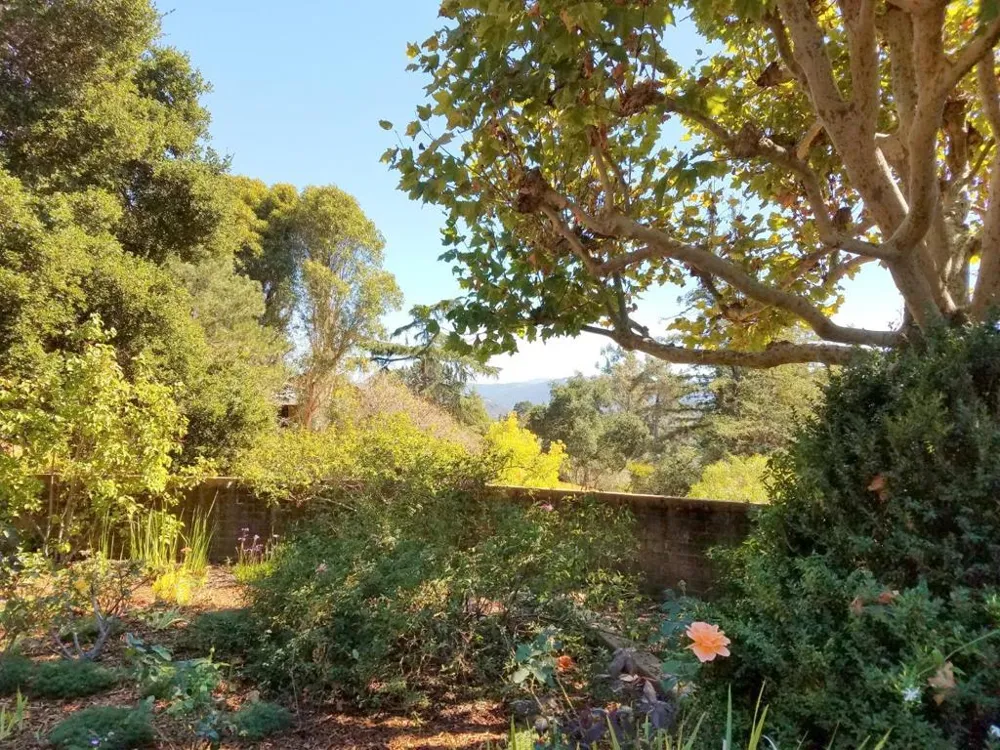 9 STORY ROAD Carmel Valley, CA 93924