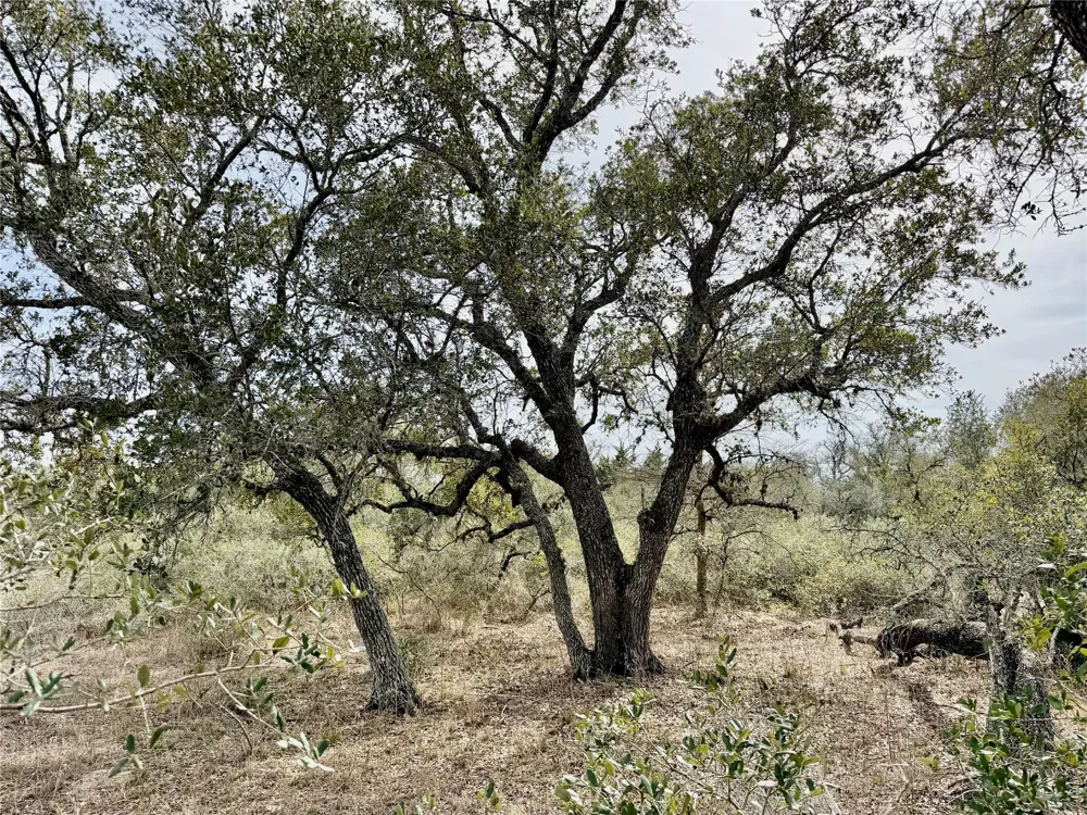 14 Friar Road Cuero, TX 77954