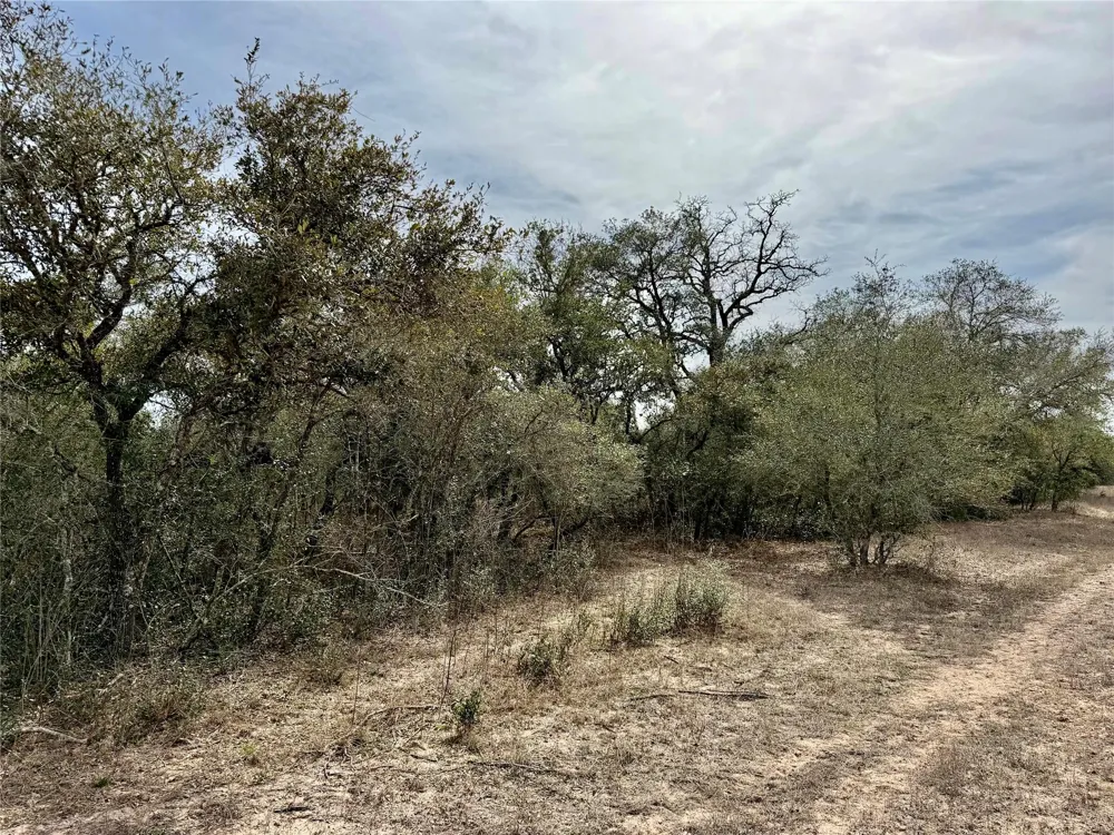14 Friar Road Cuero, TX 77954