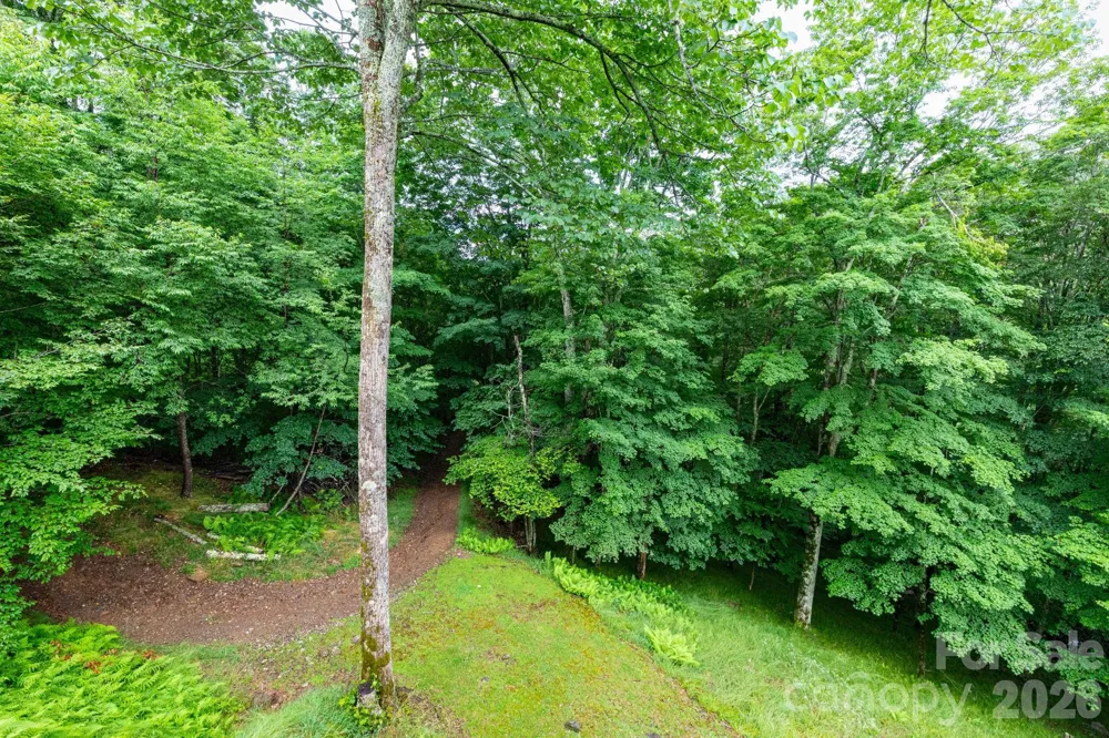 155 Mule Trail Drive Bakersville, NC 28705