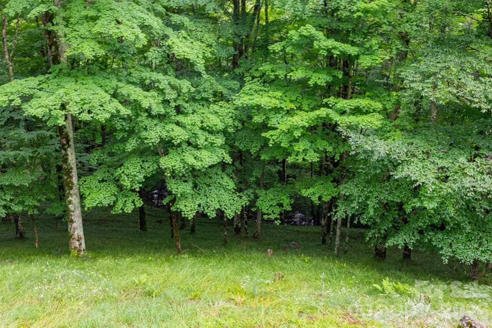 155 Mule Trail Drive Bakersville, NC 28705